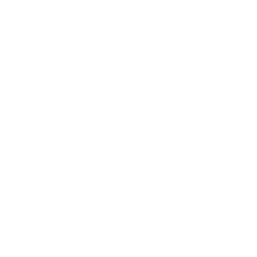 Logo Central Web Agency